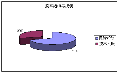 股本结构与规模